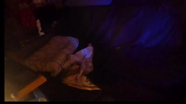 Image 3 of mistress_luan Stream on Chaturbate on 17 months ago