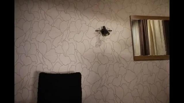 Image 11 of mistresselizy Stream on Chaturbate on 27 days ago