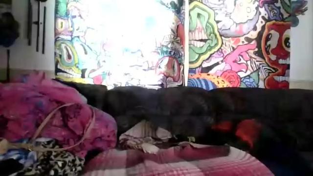 Image 3 of mistressmishy69 Stream on Chaturbate on 16 months ago