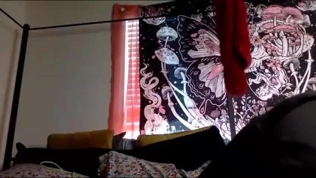 Image 3 of mistressmystii Stream on Chaturbate on 28 days ago