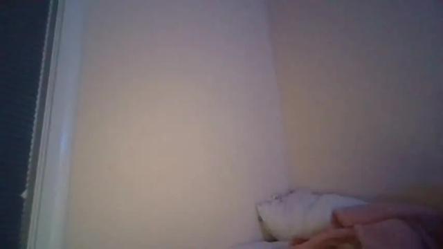 Image 7 of mjmcorppro Stream on Chaturbate on 17 months ago