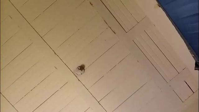 Thumbnail 3, mli739709's Stream at Chaturbate, 2 months ago