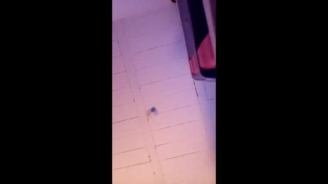 Image 10 of mli739709 Stream on Chaturbate on 22 days ago