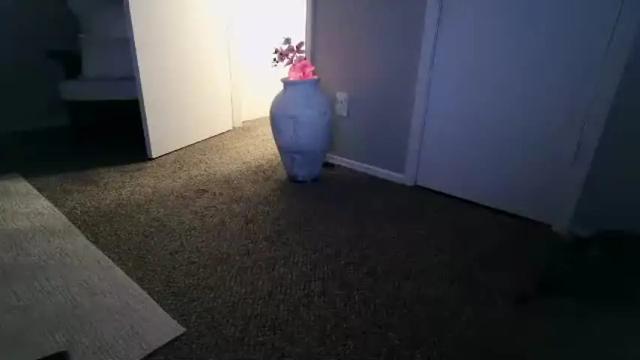 Image 12 of mmmmmwah Stream on Chaturbate on 3 months ago