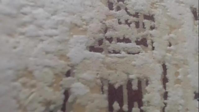 Image 12 of mohito200711 Stream on Chaturbate on 1 month ago