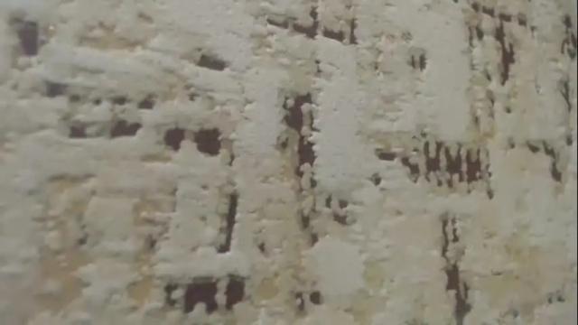 Image 8 of mohito200711 Stream on Chaturbate on 1 month ago