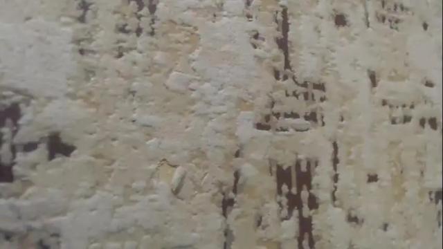 Image 8 of mohito200711 Stream on Chaturbate on 1 month ago