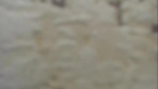 Image 8 of mohito200711 Stream on Chaturbate on 15 days ago