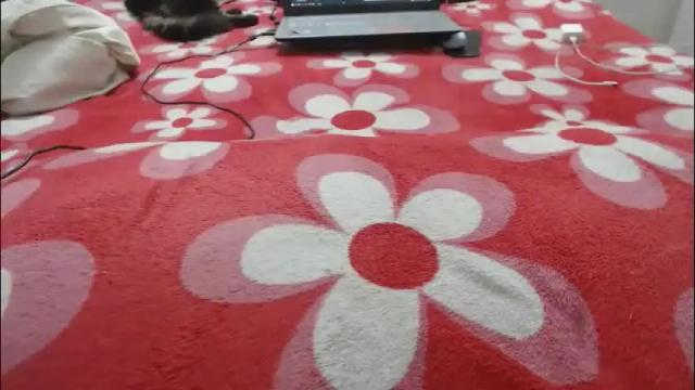 Image 2 of mollyandbra Stream on Chaturbate on 1 month ago