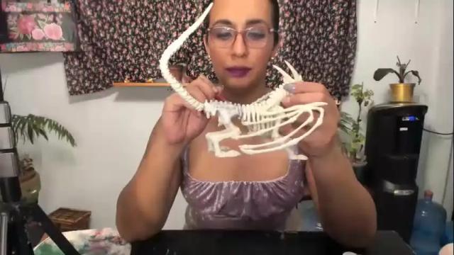 Image 8 of monalisa_melrose Stream on Chaturbate on 20 months ago