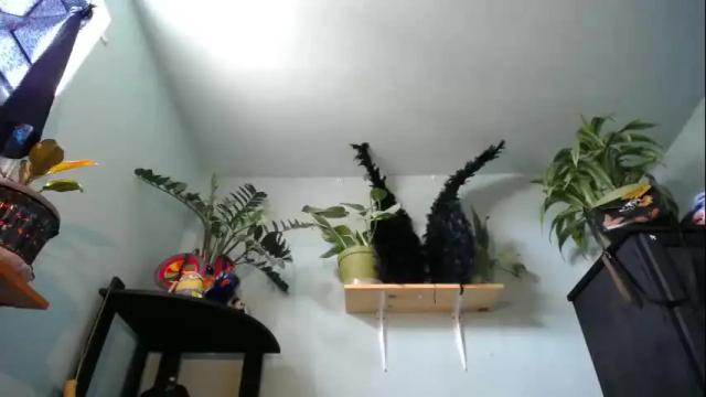 Image 11 of monalisa_melrose Stream on Chaturbate on 4 months ago