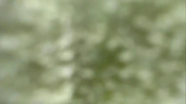 Image 8 of moon_of_saturno Stream on Chaturbate on 15 months ago