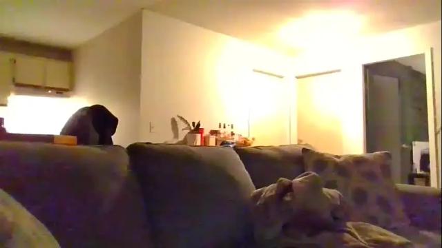 Image 4 of moonbutterfly94 Stream on Chaturbate on 2 months ago
