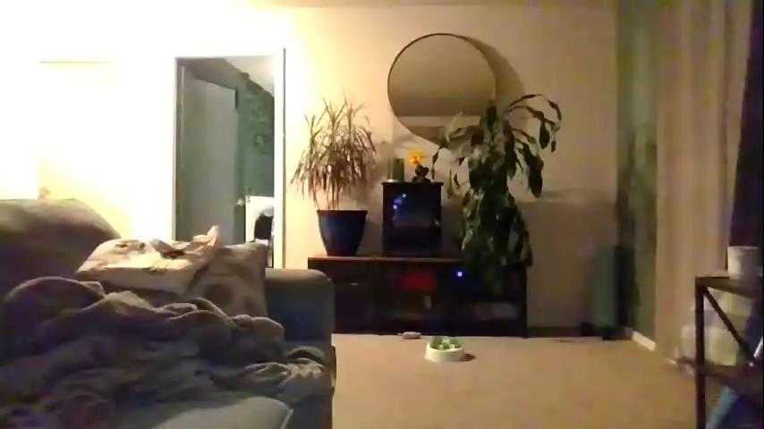 moonbutterfly94 Chaturbate