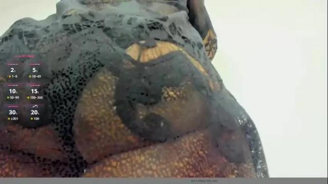 Image 3 of moxa_hot Stream on Chaturbate on 24 days ago