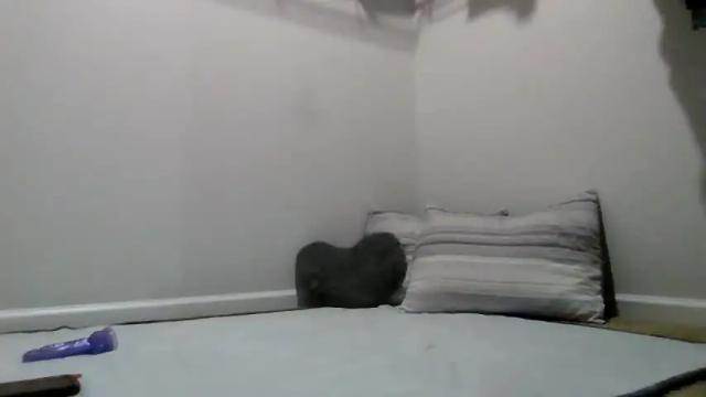 Image 10 of mrandmrsdelvalle Stream on Chaturbate on 16 months ago
