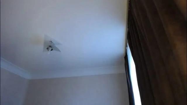 Image 11 of mrs_smith__ Stream on Chaturbate on 4 months ago