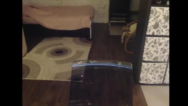 Image 2 of mrsluck Stream on Chaturbate on 1 month ago