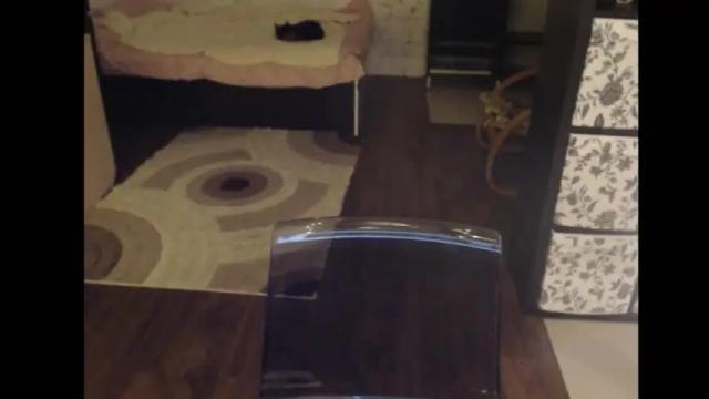 Image 12 of mrsluck Stream on Chaturbate on 1 month ago