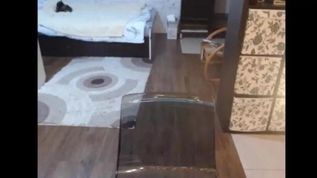 Image 10 of mrsluck Stream on Chaturbate on 1 month ago