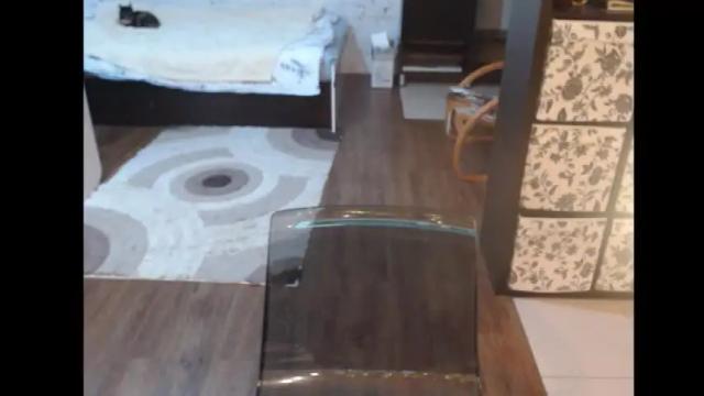 Image 11 of mrsluck Stream on Chaturbate on 1 month ago