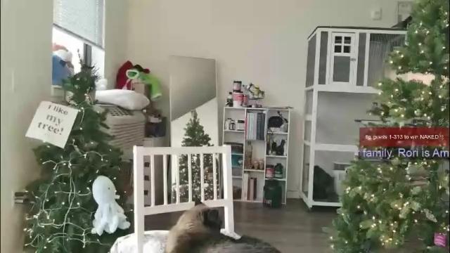 Image 3 of ms_mochii Stream on Chaturbate on 25 days ago