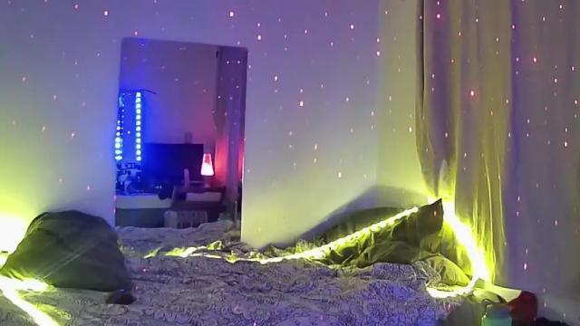 Image 3 of msadalovelace Stream on Chaturbate on 16 months ago