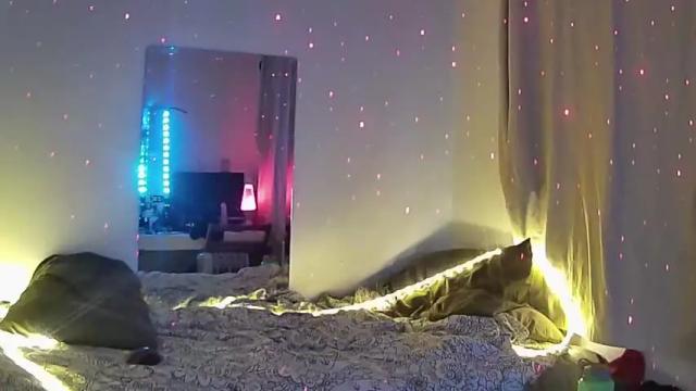 Image 4 of msadalovelace Stream on Chaturbate on 16 months ago