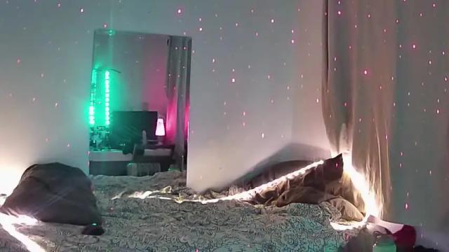 Thumbnail 2, msadalovelace's Stream at Chaturbate, 16 months ago