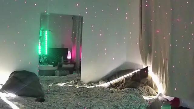 Image 6 of msadalovelace Stream on Chaturbate on 16 months ago