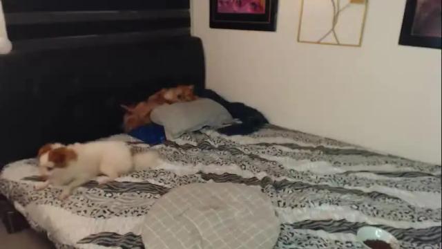 Image 10 of msandreagarcia Stream on Chaturbate on 3 months ago