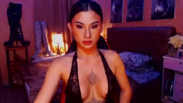 Image 2 of msasianbigcockts Stream on Chaturbate on 15 months ago