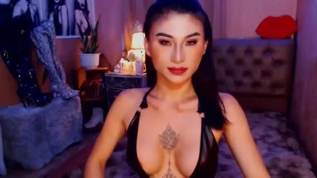 Image 4 of msasianbigcockts Stream on Chaturbate on 14 months ago