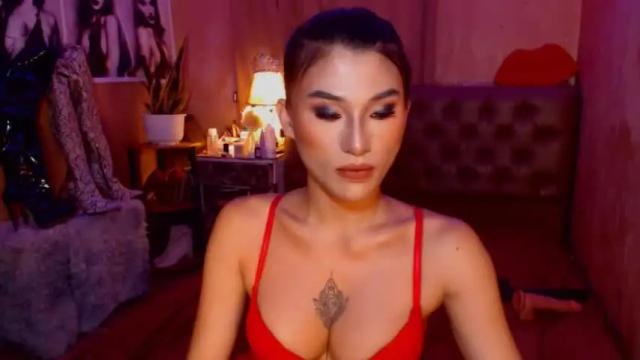 Image 4 of msasianbigcockts Stream on Chaturbate on 14 months ago