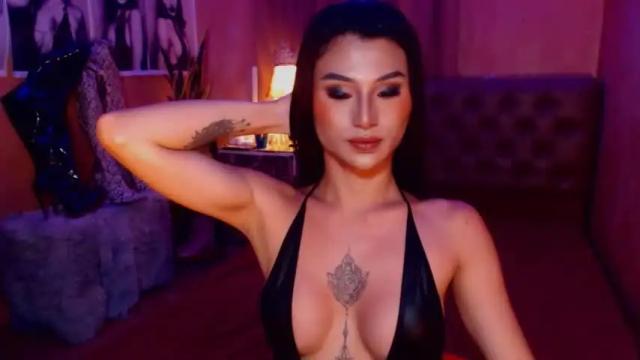 Image 8 of msasianbigcockts Stream on Chaturbate on 14 months ago