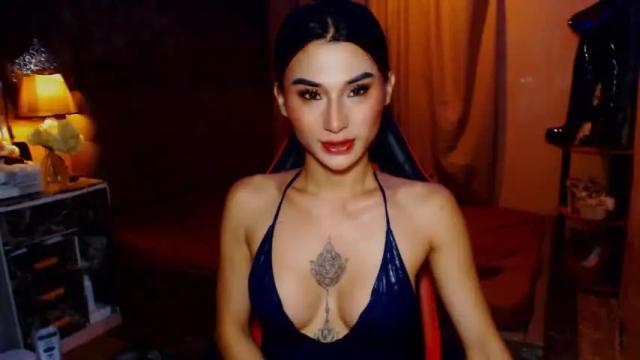 Image 10 of msasianbigcockts Stream on Chaturbate on 13 months ago