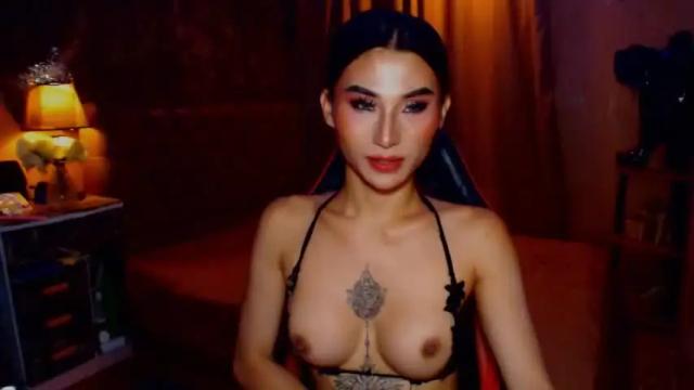 Image 6 of msasianbigcockts Stream on Chaturbate on 12 months ago