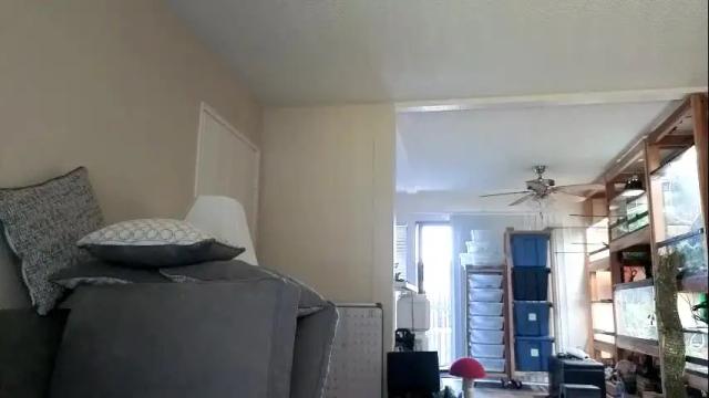 Image 3 of mshebisbox Stream on Chaturbate on 1 month ago