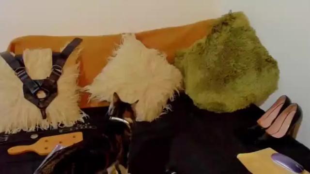 Thumbnail 3, msjustine4u's Stream at Chaturbate, 13 months ago