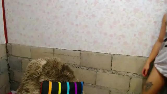 Image 8 of mspalami19 Stream on Chaturbate on 1 month ago