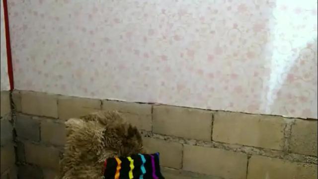 Image 10 of mspalami19 Stream on Chaturbate on 1 month ago