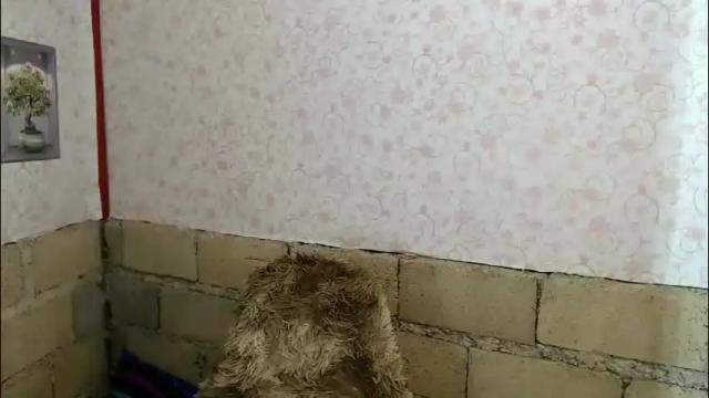 Image 8 of mspalami19 Stream on Chaturbate on 28 days ago
