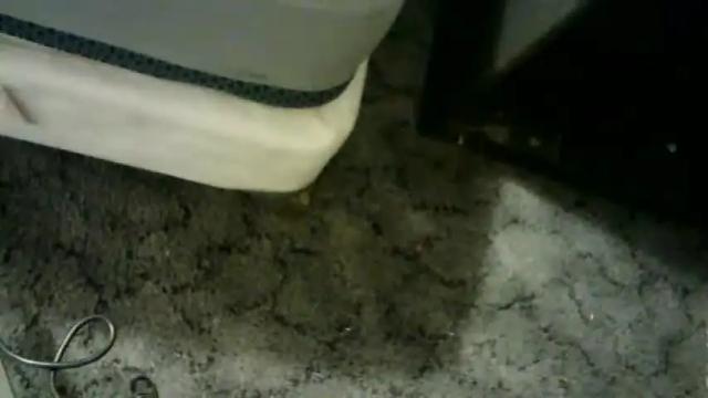 Thumbnail 1, mstlovve's Stream at Chaturbate, 17 months ago
