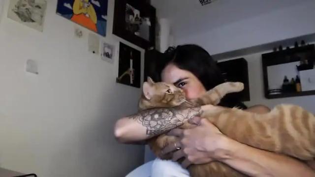 Image 6 of mulan_o Stream on Chaturbate on 14 months ago