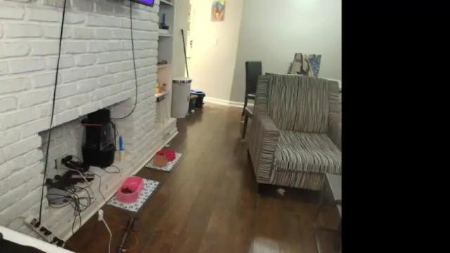 Image 3 of myabadd Stream on Chaturbate on 3 months ago