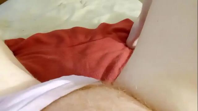 Image 10 of mykittyneedsuu Stream on Chaturbate on 8 days ago