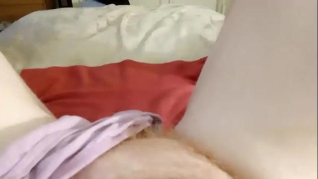 Thumbnail 3, mykittyneedsuu's Stream at Chaturbate, 14 hours ago