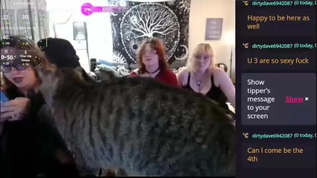 Image 2 of myrtlemystic Stream on Chaturbate on 1 month ago