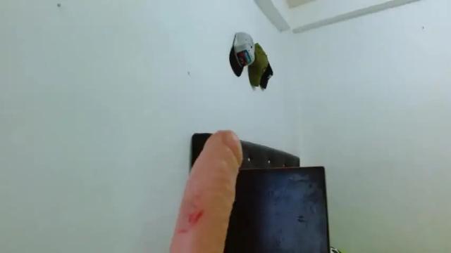 Image 10 of n_linda Stream on Chaturbate on 22 months ago