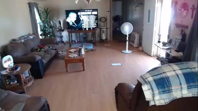 Image 3 of nadica_jones Stream on Chaturbate on 19 months ago